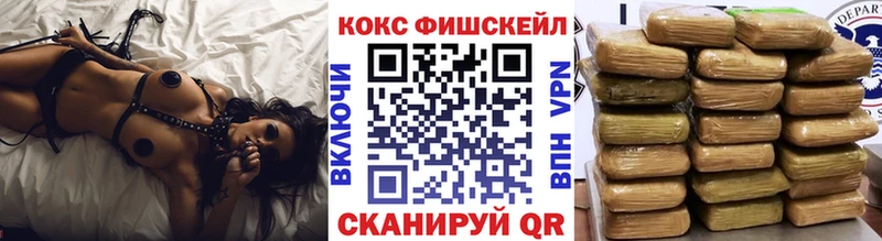 Купить закладки  Энем  Cocaine Fish Scale 